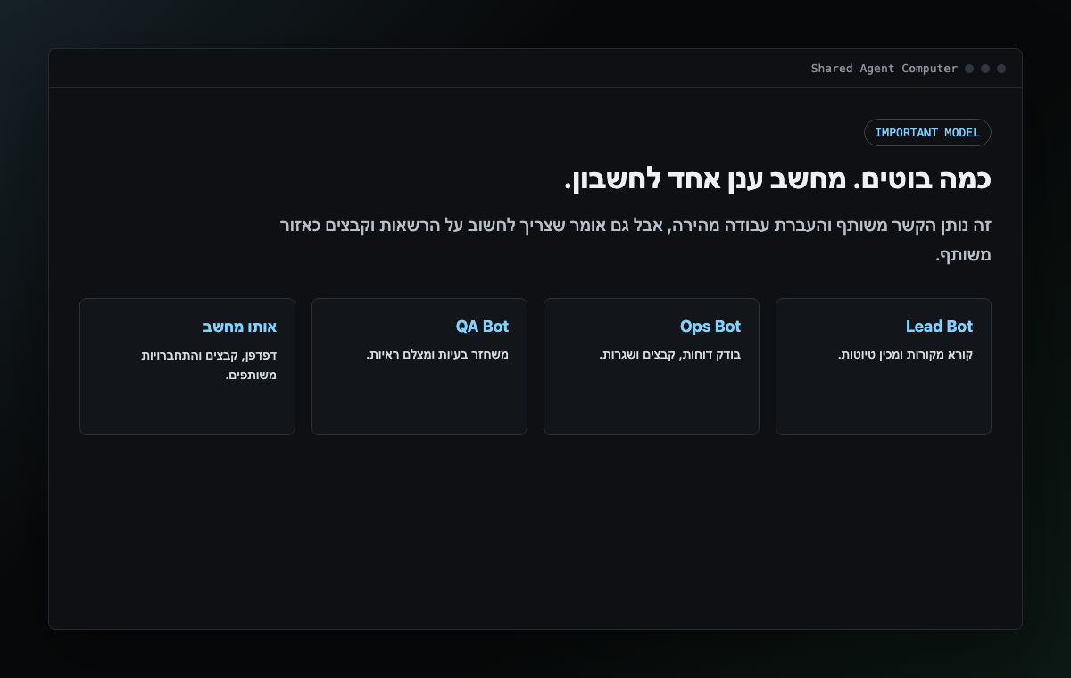 צילום מסך סכמטי של מחשב ענן משותף לכל הבוטים